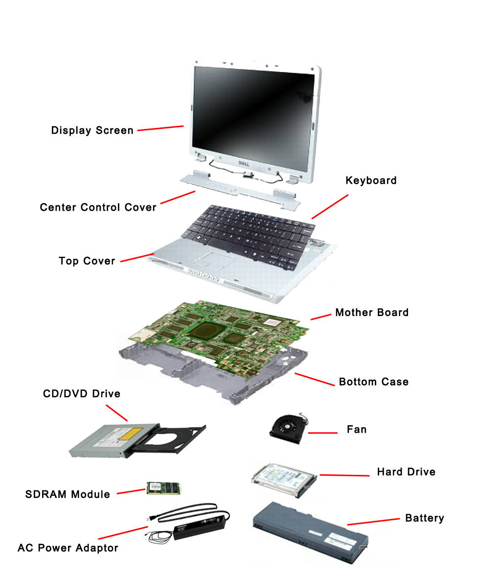 Correspondent wat betreft volwassene Basic Laptop Components